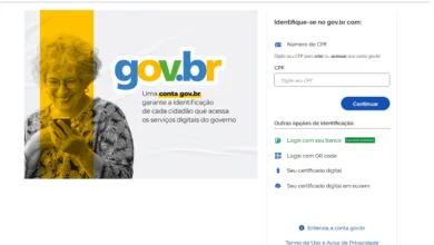 Gov.br enfrenta novo dia de instabilidade